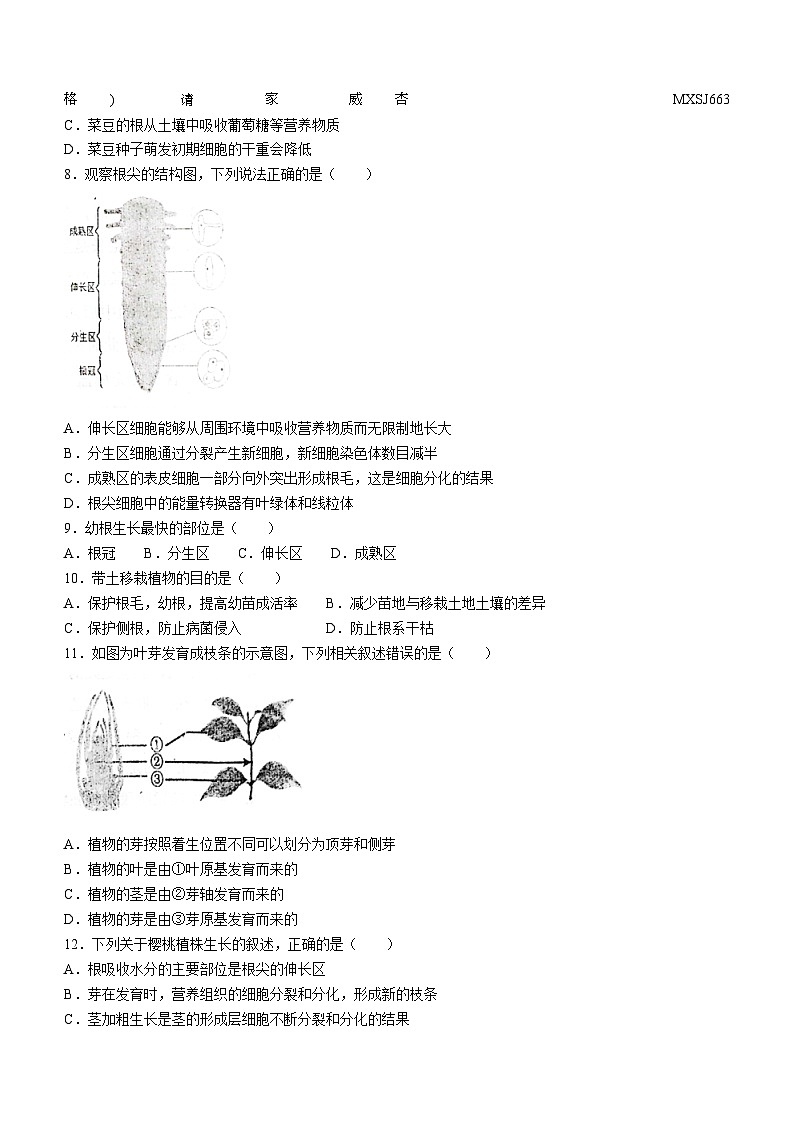 山东省聊城市阳谷县阳谷实验中学2023-2024学年七年级上学期12月月考生物试题(无答案)第2页