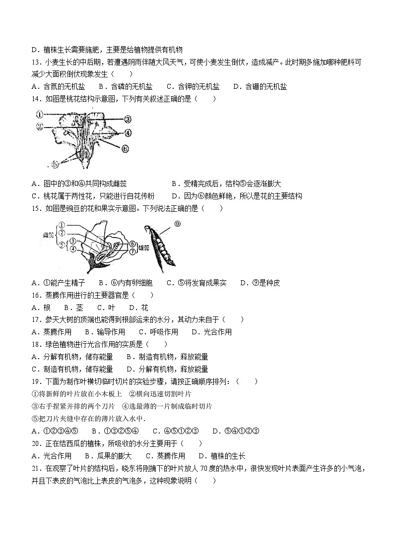 山东省聊城市阳谷县阳谷实验中学2023-2024学年七年级上学期12月月考生物试题(无答案)第3页