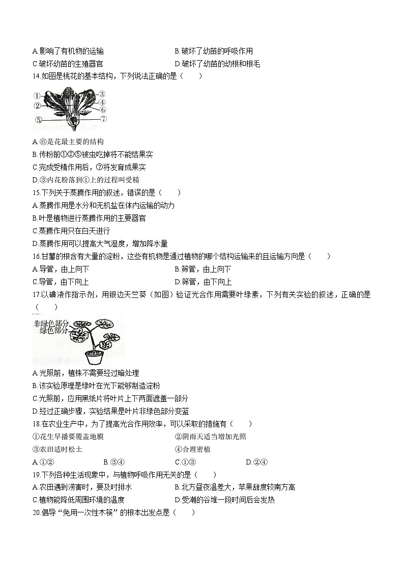 吉林省长春市榆树市第二实验中学2023-2024学年七年级上学期12月期末生物试题03