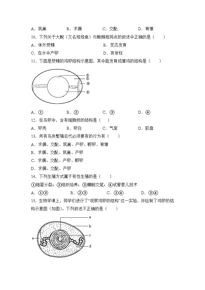 2023年生物中考（人教版）题型专题专练：专题10++生物的生殖和发育第2页