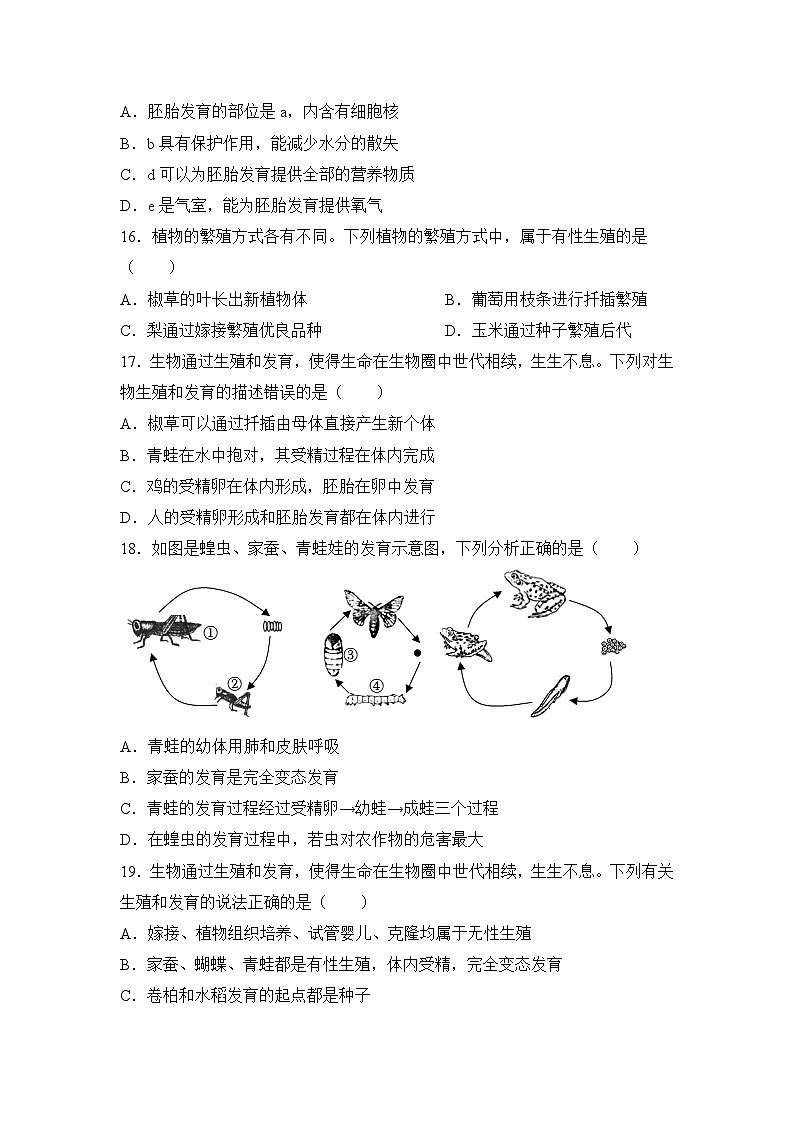 2023年生物中考（人教版）题型专题专练：专题10++生物的生殖和发育第3页