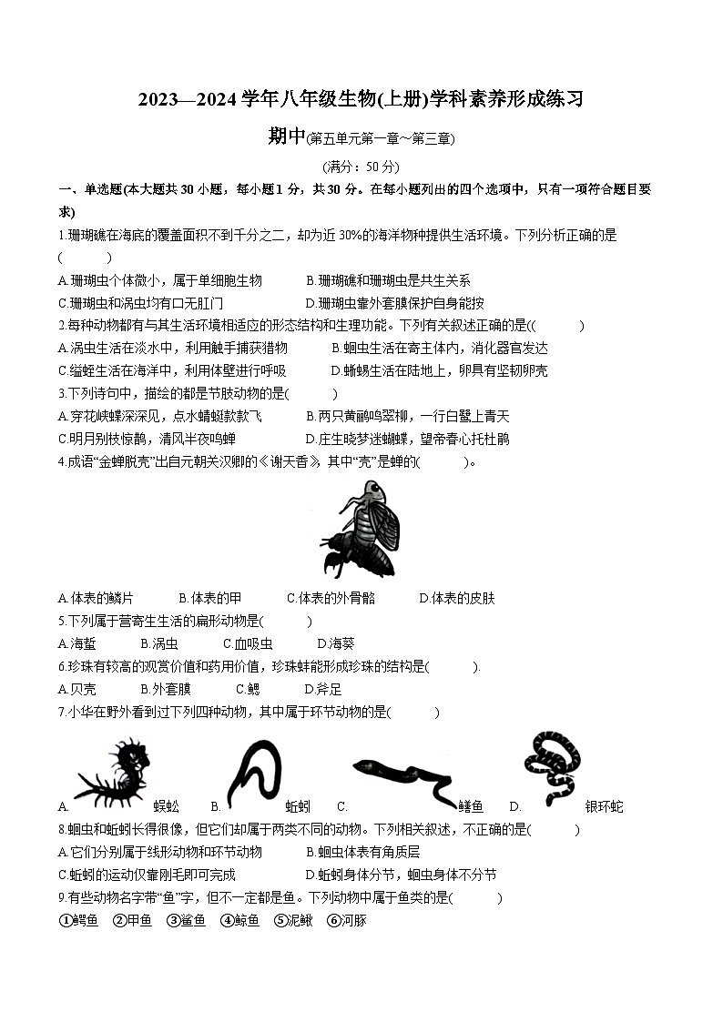 广东省深圳市龙岗区宏扬学校2023-2024学年八年级上学期期中生物试题01