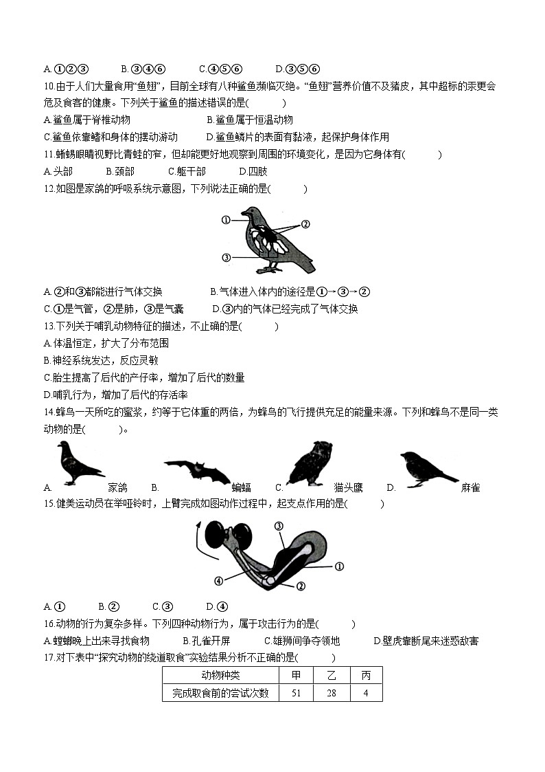 广东省深圳市龙岗区宏扬学校2023-2024学年八年级上学期期中生物试题02