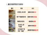 北师大版七年级生物下册课件 8.1 人类的食物
