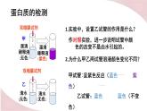 北师大版七年级生物下册课件 8.1 人类的食物