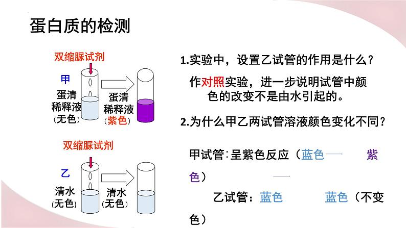 北师大版七年级生物下册课件 8.1 人类的食物04