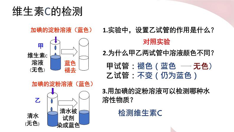 北师大版七年级生物下册课件 8.1 人类的食物05