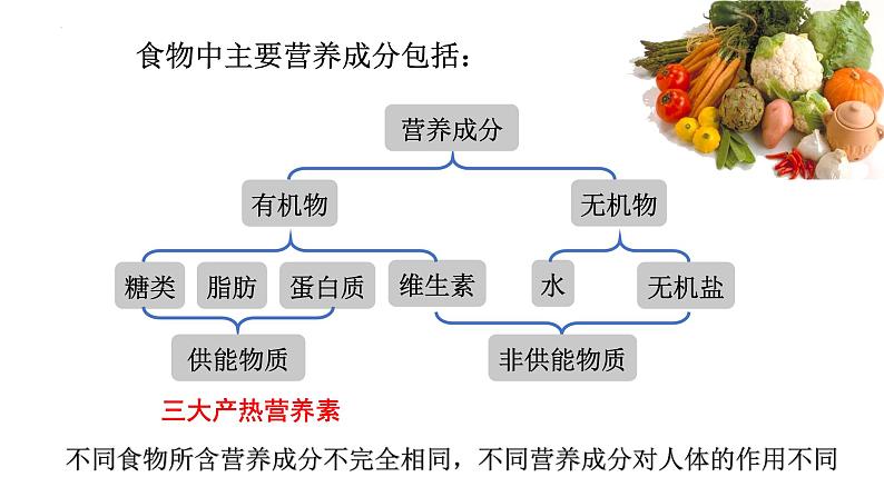 北师大版七年级生物下册课件 8.1 人类的食物08