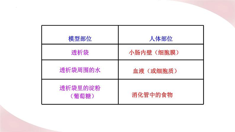 北师大版七年级生物下册课件 8.2 食物的消化和营养物质的吸收06