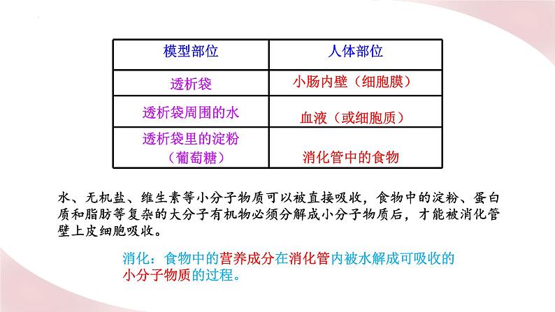 北师大版七年级生物下册课件 8.2 食物的消化和营养物质的吸收08