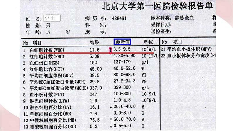 北师大版七年级生物下册课件 9.1 血液03