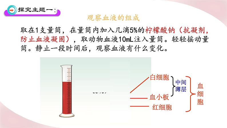 北师大版七年级生物下册课件 9.1 血液04