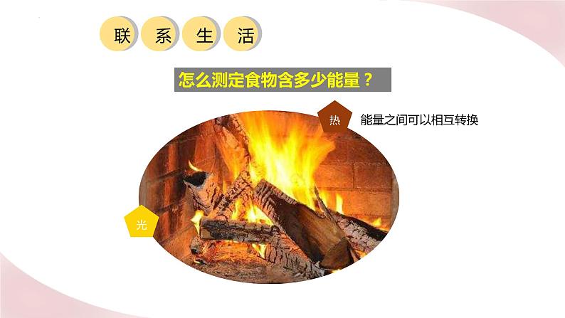 北师大版七年级生物下册课件 10.1 食物中能量的释放第3页