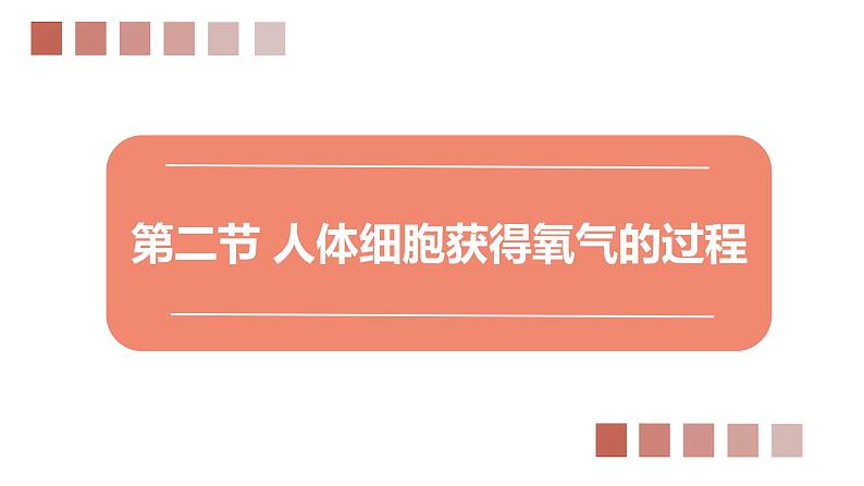 北师大版七年级生物下册课件 10.2 人体细胞获得氧气的过程01