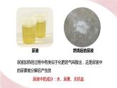 北师大版七年级生物下册课件 11.1 人体产生的代谢废物