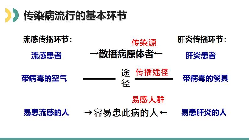 北师大版七年级生物下册课件 13.2 预防传染病06