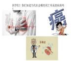 北师大版七年级生物下册课件 13.4 当代主要疾病和预防