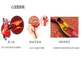 北师大版七年级生物下册课件 13.4 当代主要疾病和预防