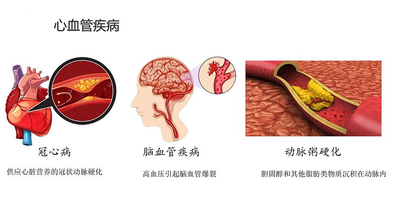 北师大版七年级生物下册课件 13.4 当代主要疾病和预防04