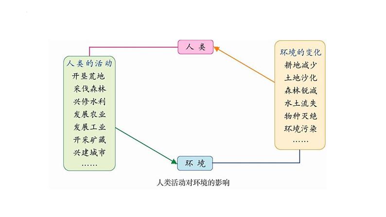 北师大版七年级生物下册课件 14.1 人类活动对生物圈的影响第3页