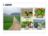 北师大版七年级生物下册课件 14.1 人类活动对生物圈的影响