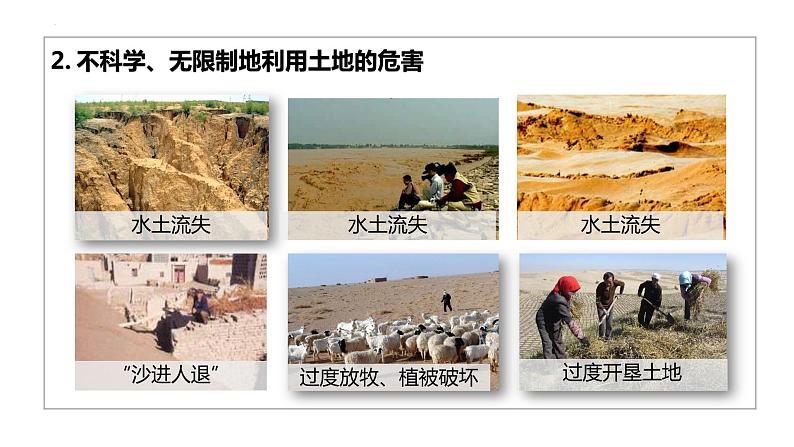 北师大版七年级生物下册课件 14.1 人类活动对生物圈的影响第6页