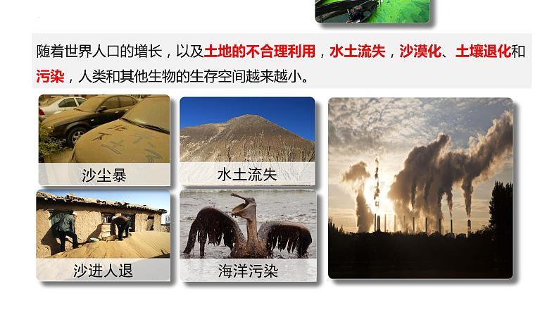 北师大版七年级生物下册课件 14.2 保护生物圈是全人类的共同义务05