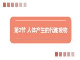 北师大版七年级生物下册课件 11.2 尿液的形成与排出