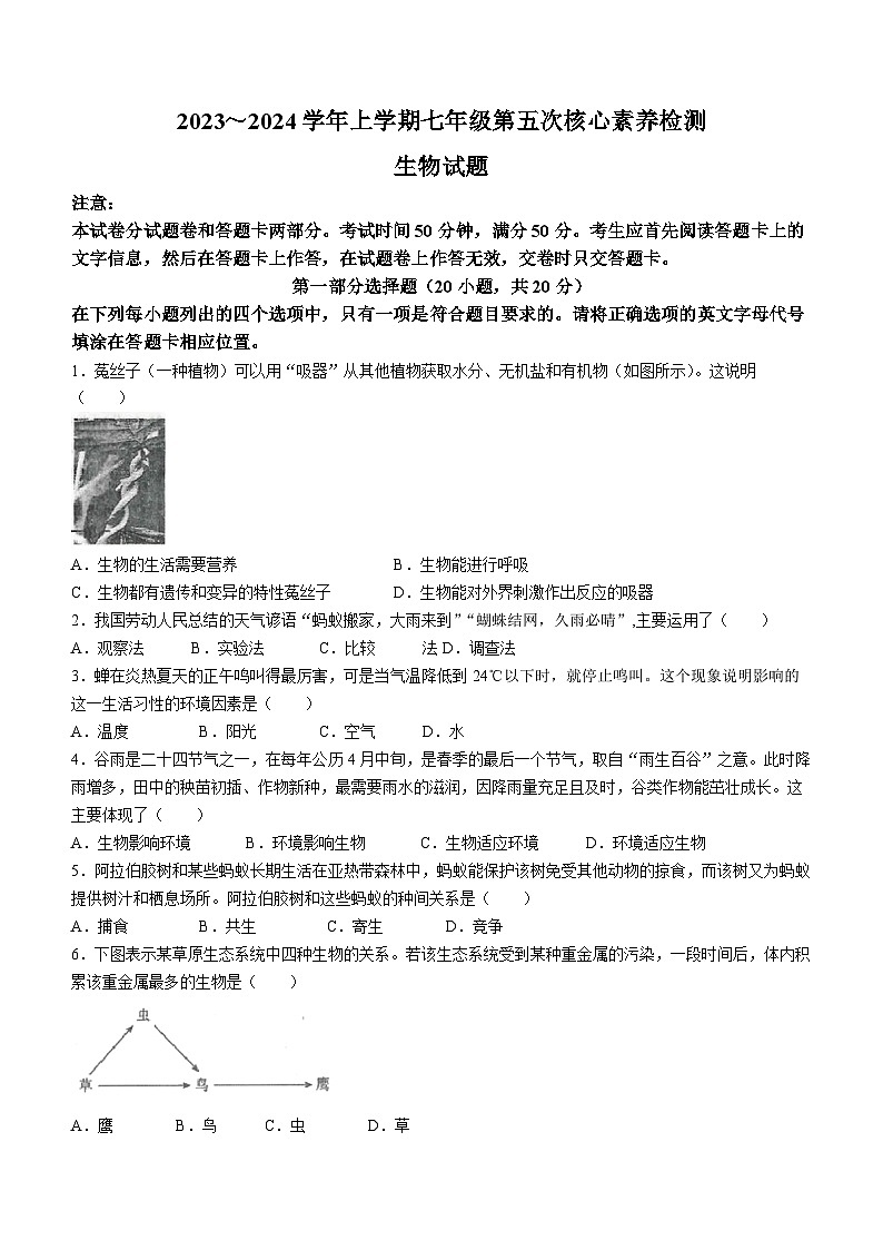32，河南省周口市淮阳区羲城中学2023-2024学年七年级上学期12月月考生物试题01