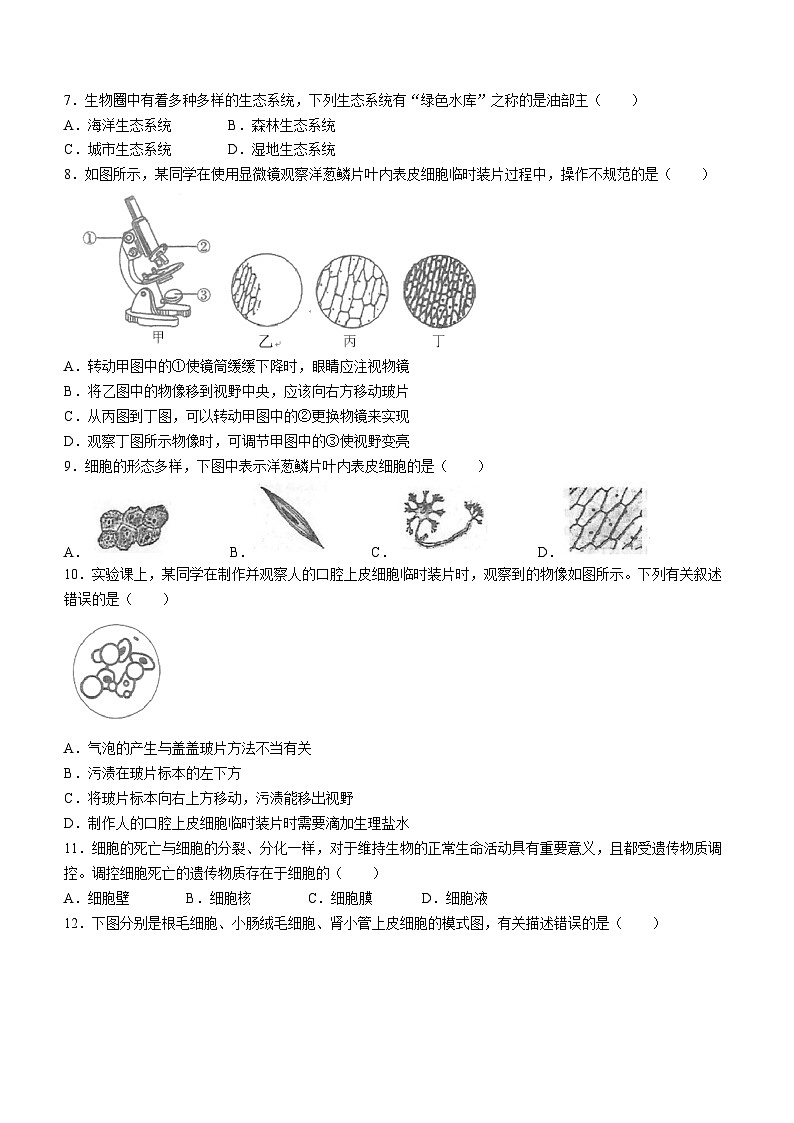 32，河南省周口市淮阳区羲城中学2023-2024学年七年级上学期12月月考生物试题02