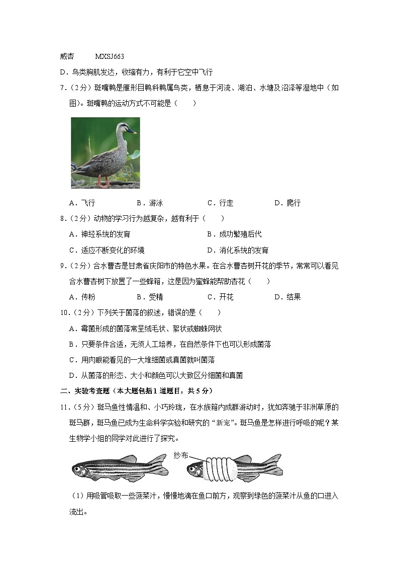 甘肃省庆阳市庆城县2023-2024学年八年级上学期期中生物试卷02