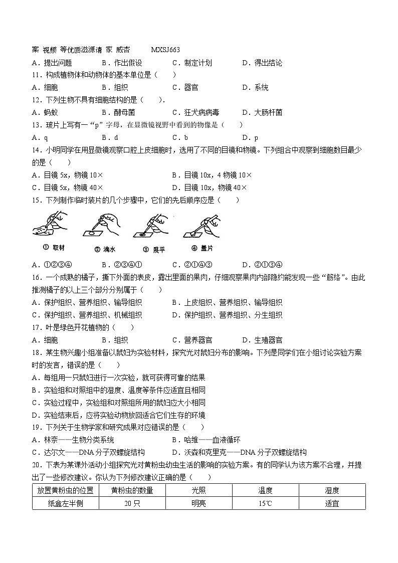 广东省韶关市仁化县2023-2024学年七年级上学期期中考试生物试题(无答案)第2页