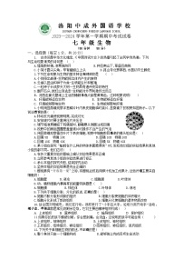 河南省洛阳偃师中成外国语学校2023-2024学年七年级上学期期中考试生物试题