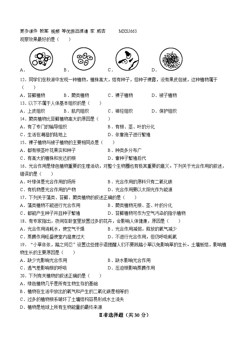 山东省菏泽市鄄城县2023-2024学年七年级上学期期中生物试题02