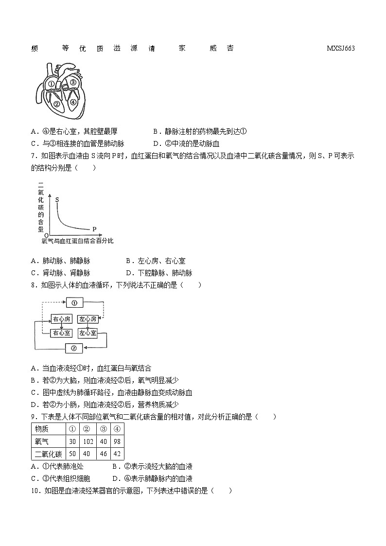 山东省济宁市任城区第十五中学2023—2024学年七年级（五四学制）上学期12月月考生物试题(无答案)第2页
