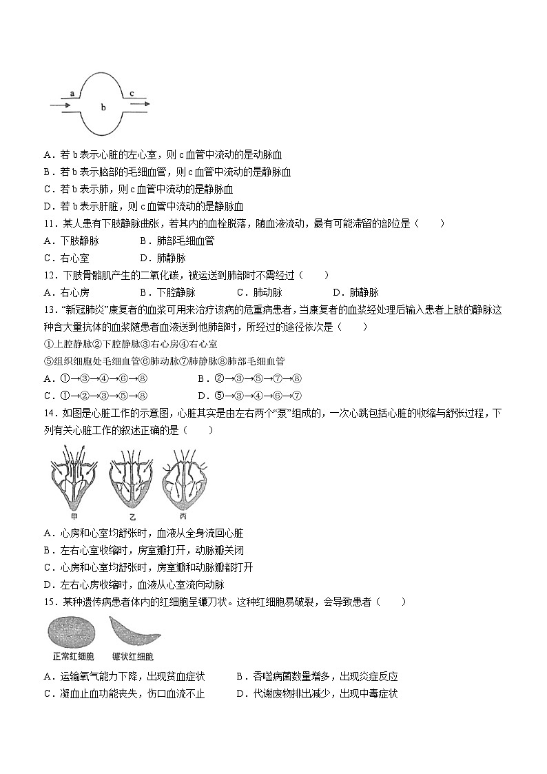 山东省济宁市任城区第十五中学2023—2024学年七年级（五四学制）上学期12月月考生物试题(无答案)第3页