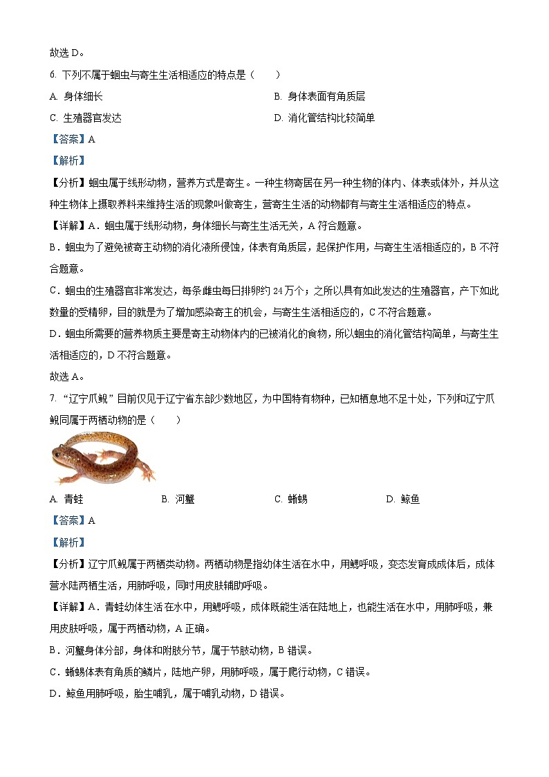 陕西省商洛市山阳县色河铺镇九年制学校2023-2024学年八年级上学期期中生物试卷（解析版）第3页