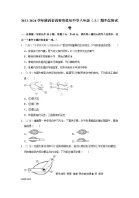 陕西省西安市爱知中学2023-2024学年八年级上学期期中生物试卷