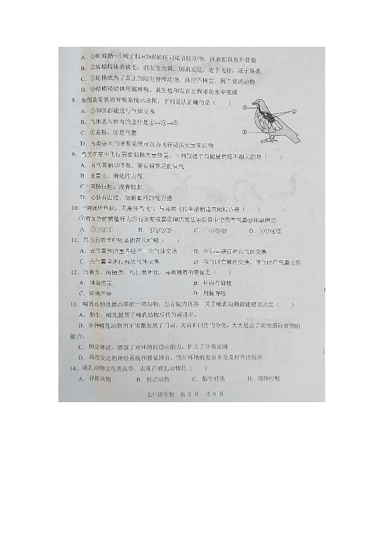 49，山东省济宁市金乡县2023-2024学年七年级上学期12月份学情检测生物试卷第2页