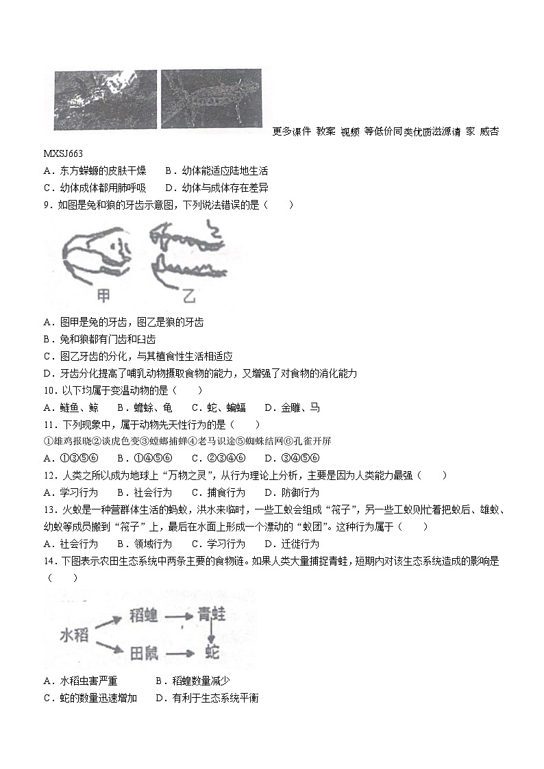 57，湖南省桂阳县龙潭中学2023-2024学年八年级上学期第二次月考生物试题(无答案)第2页