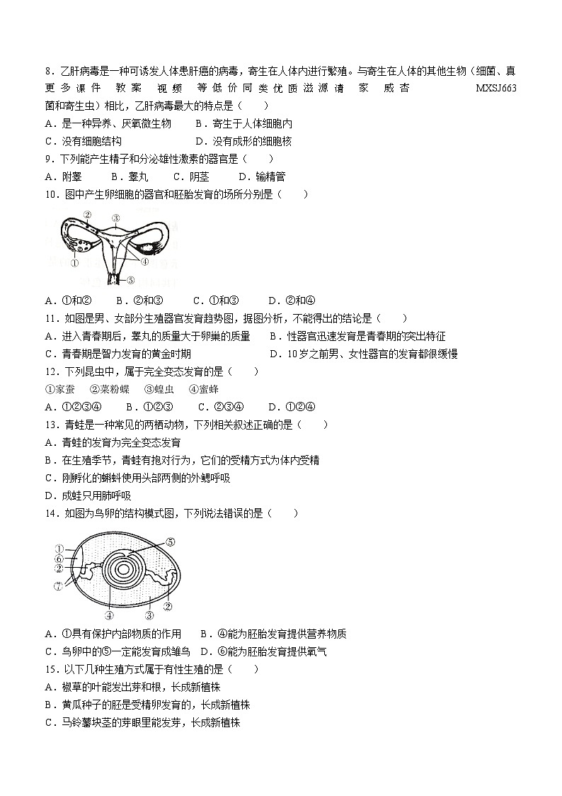 58，安徽省宿州市泗县2023-2024学年八年级上学期12月月考生物试题02