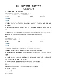 河南省商丘市夏邑县2023-2024学年八年级上学期期中生物试题