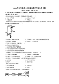 山东省枣庄市峄城区名校协作体2023-2024学年八年级上学期12月月考生物试卷(无答案)