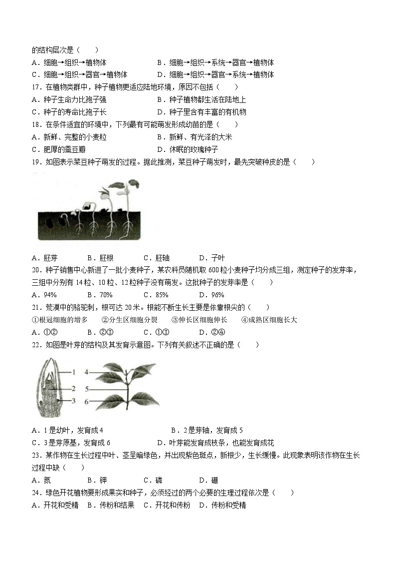 陕西省榆林市第十中学2023-2024学年七年级上学期12月月考生物试题(无答案)第3页