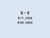 统编版七年级生物下册 第四单元 第一章 第二节 人的生殖 第一课时（课件）