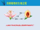 统编版七年级生物下册 第四单元 第一章 第二节 人的生殖 第一课时（课件）