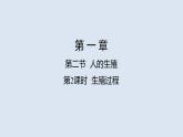 统编版七年级生物下册 第四单元 第一章 第二节 人的生殖 第二课时（课件）