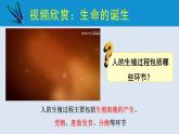 统编版七年级生物下册 第四单元 第一章 第二节 人的生殖 第二课时（课件）