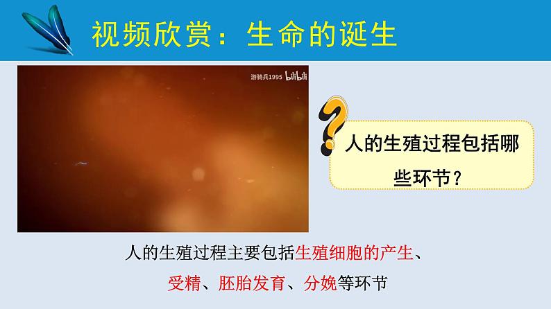 统编版七年级生物下册 第四单元 第一章 第二节 人的生殖 第二课时（课件）04