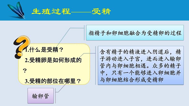 统编版七年级生物下册 第四单元 第一章 第二节 人的生殖 第二课时（课件）06